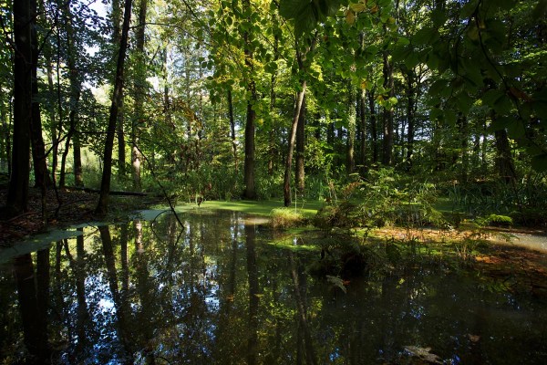 Foto van Bekendelle, Achterhoek