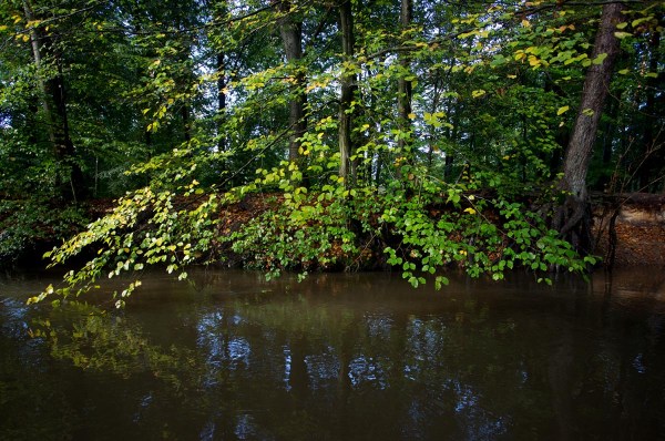 Foto van de Boven-Slinge, Bekendelle, Achterhoek