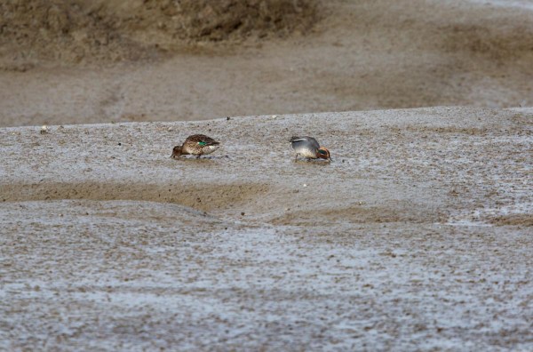Foto van Wintertalingen, Medway, Kent. Engleland, Verenigd Koninkrijk
