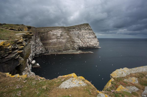 Foto van de Noup of Noss, Shetland