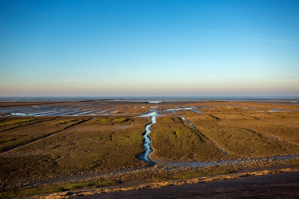 Foto van een Kwelder, Groningen