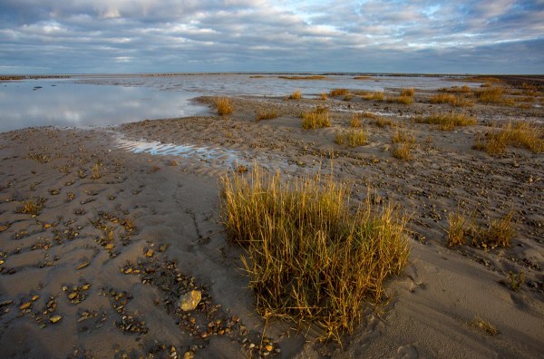 Foto van Mandø, Denemarken