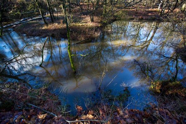 Foto van de Leubeek, Leudal, Limburg