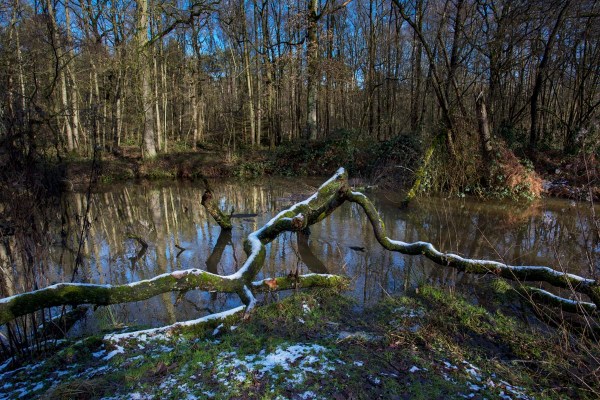 Foto van de Leubeek, Leudal, Limburg