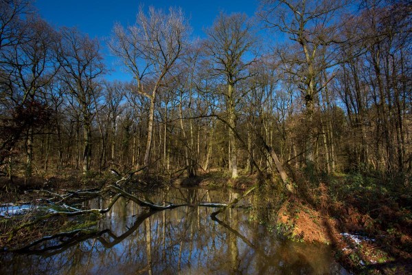 Foto van de Leubeek, Leudal, Limburg