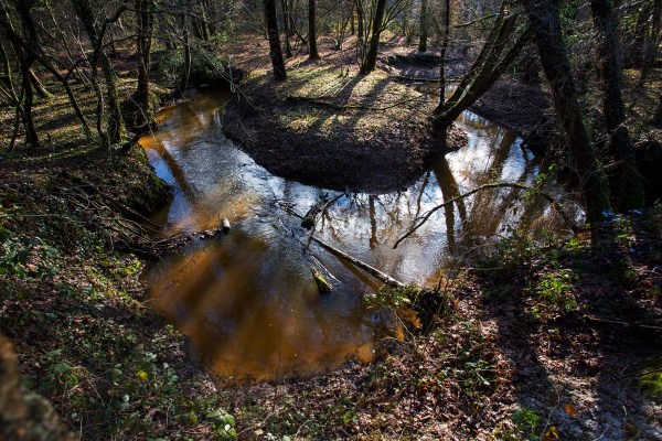Foto van de Zelsterbeek, Leudal, Limburg