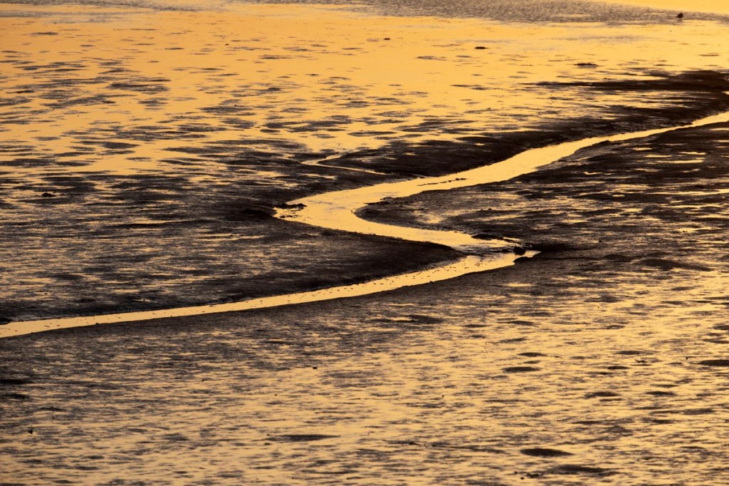 Foto van het wad bij Anjum