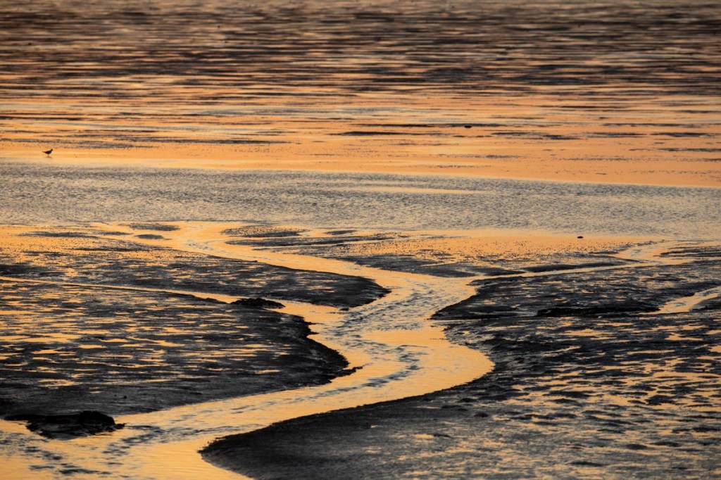 Foto van het wad bij Anjum