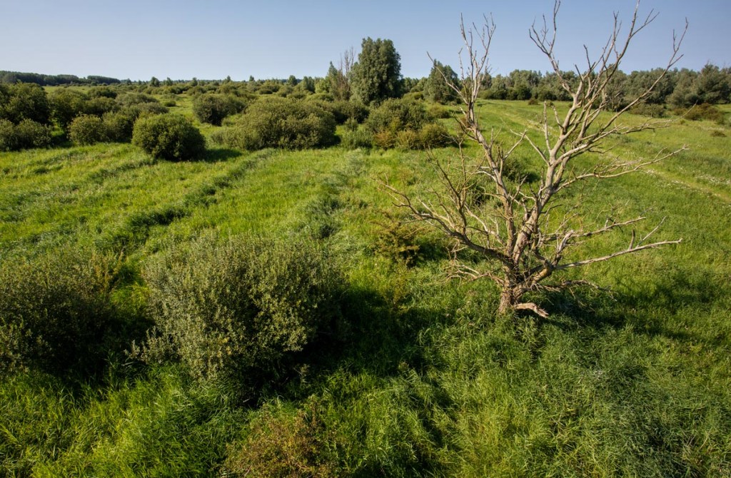 Foto van de Kollumerwaard, Nationaal Park, Lauwersmeer