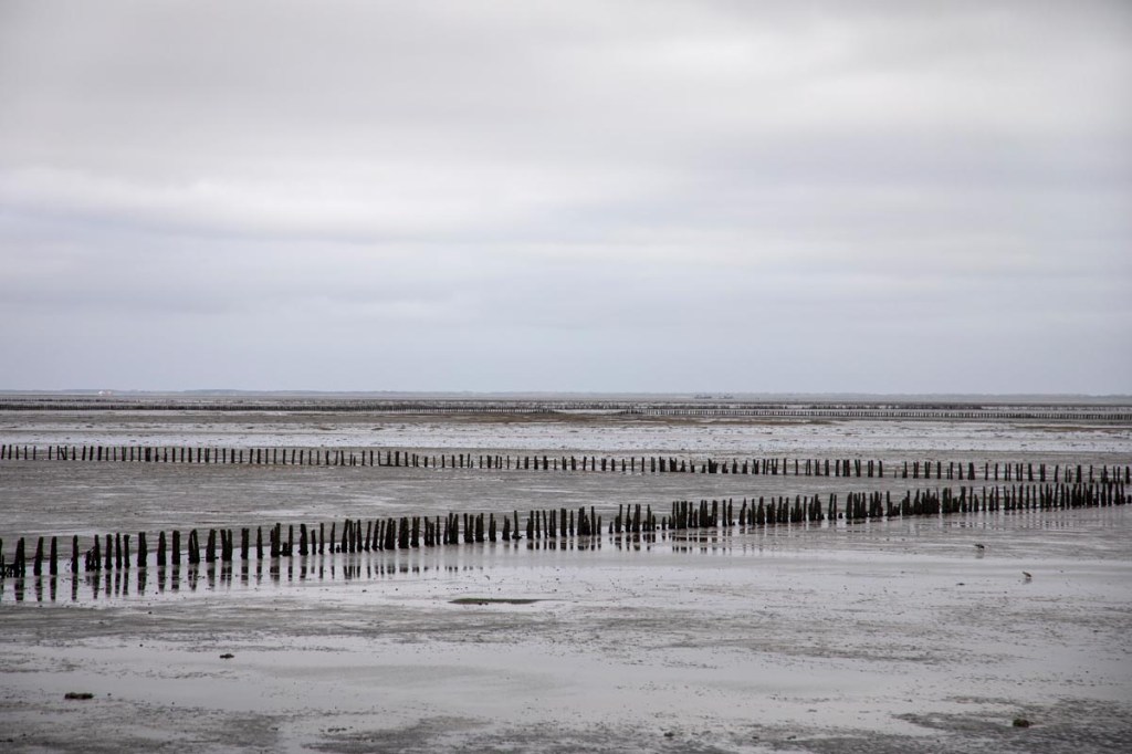 Foto van de Waddenzee, Ternaard