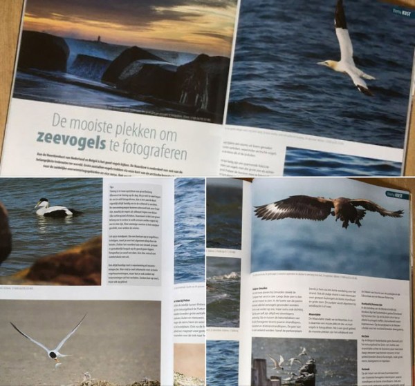 211116_natuurfotografiemagazine