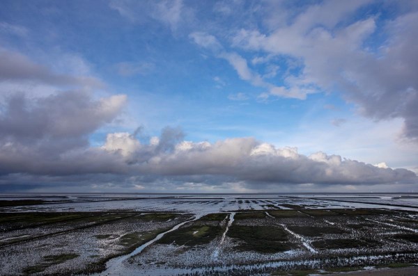 Foto van een kwelder, Groningen