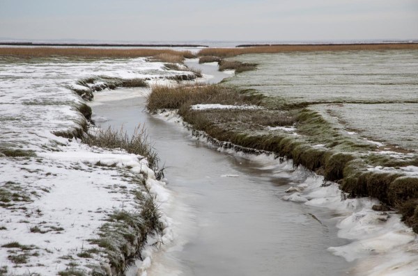 Foto van een kwelder, Waddenzee