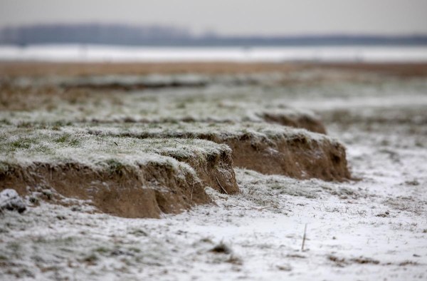 Foto van een kwelder, Waddenzee