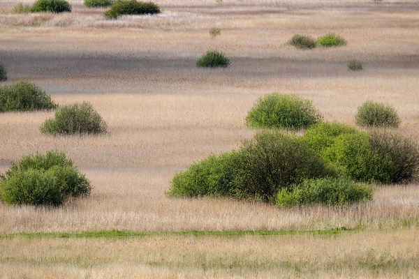 Foto van de Sennerplaat, Lauwersmeer