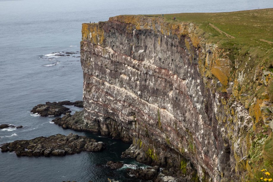 Foto van Látrabjarg, IJsland
