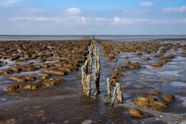 Foto van de Waddenzee