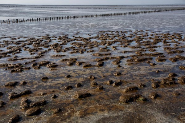Foto van de Waddenzee