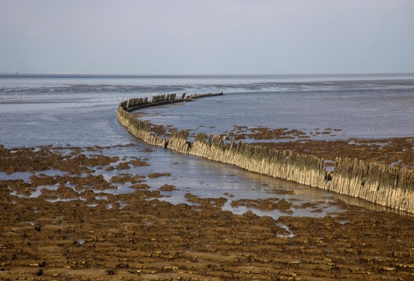 Foto van de Waddenzee