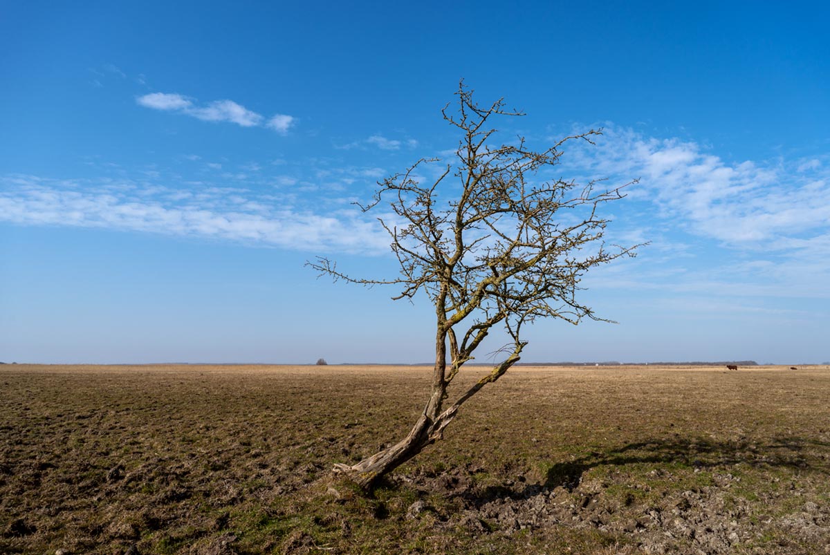 Foto van Nationaal Park Lauwersmeer