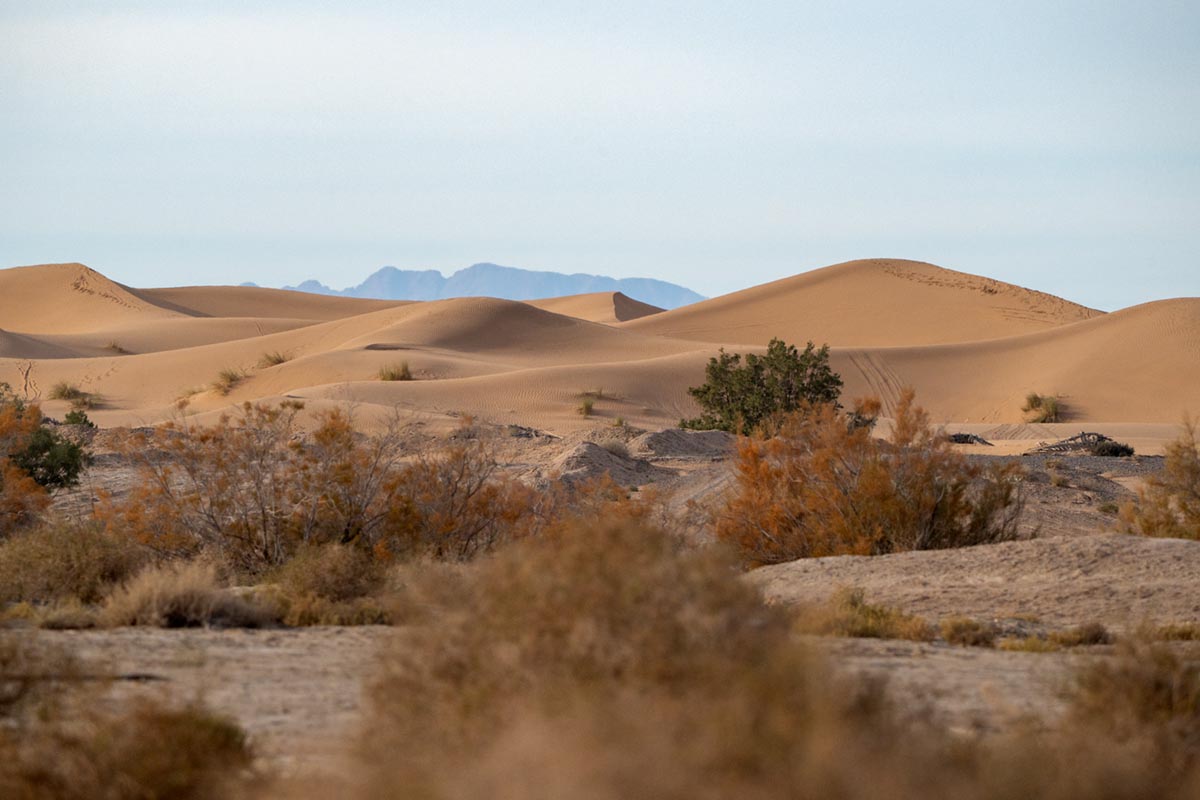 Foto van woestijn bij Erfoud